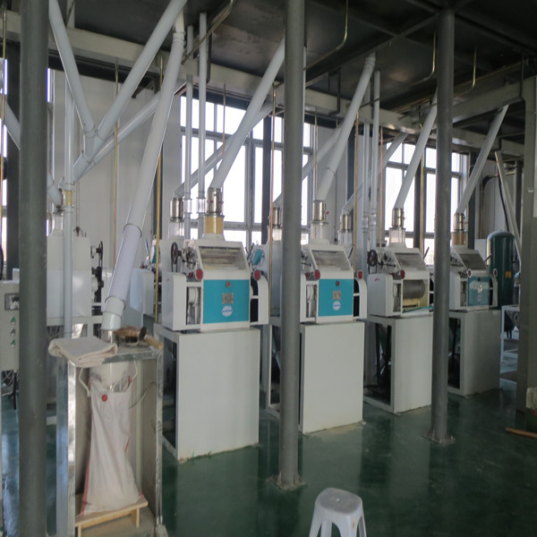 Black Soya Bean Processing Equipment Sword Bean Processign Plant