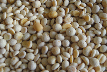 lupin beans peeling machine lupini beans kernels.jpg