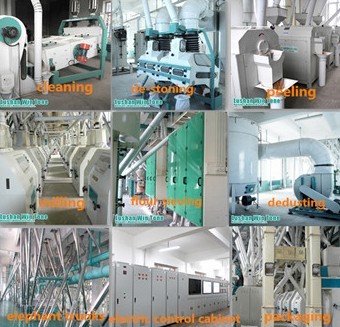 how much is bean processing equipment.jpg