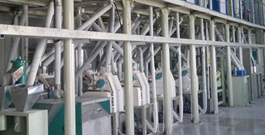 grain processing machinery development direction.jpg