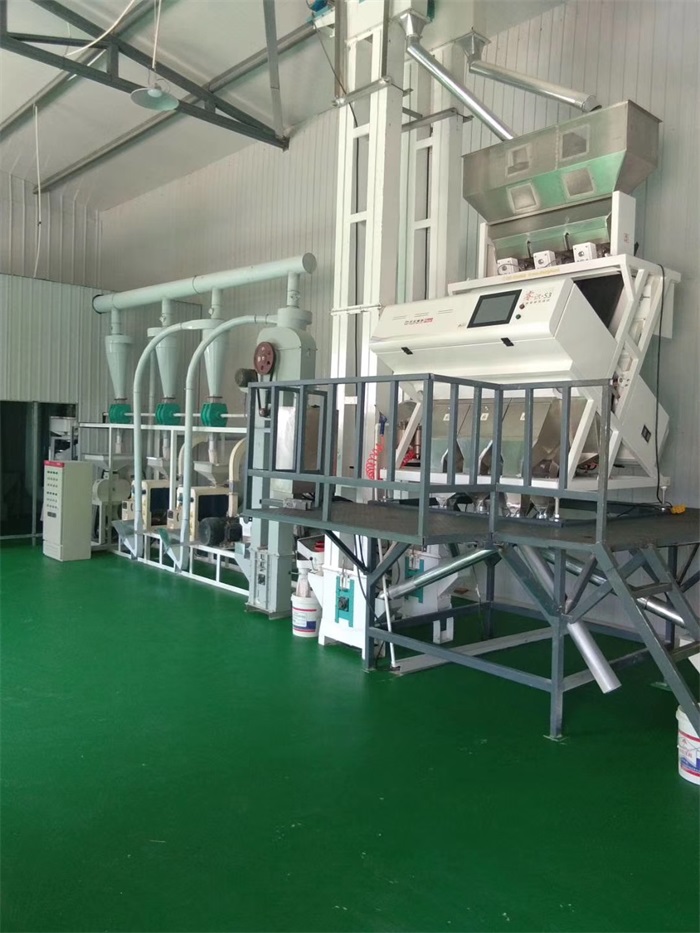 cereal flour processing equipment