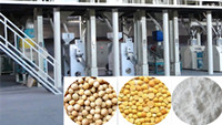 bean processing industry.jpg