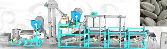 sunflower seeds dehulling and separating machine.jpg